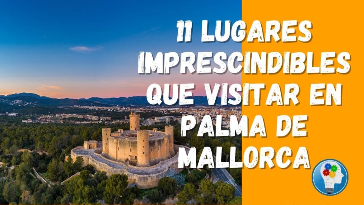 Descubre la Historia y la Cultura de Palma de Mallorca: Una Guía Completa