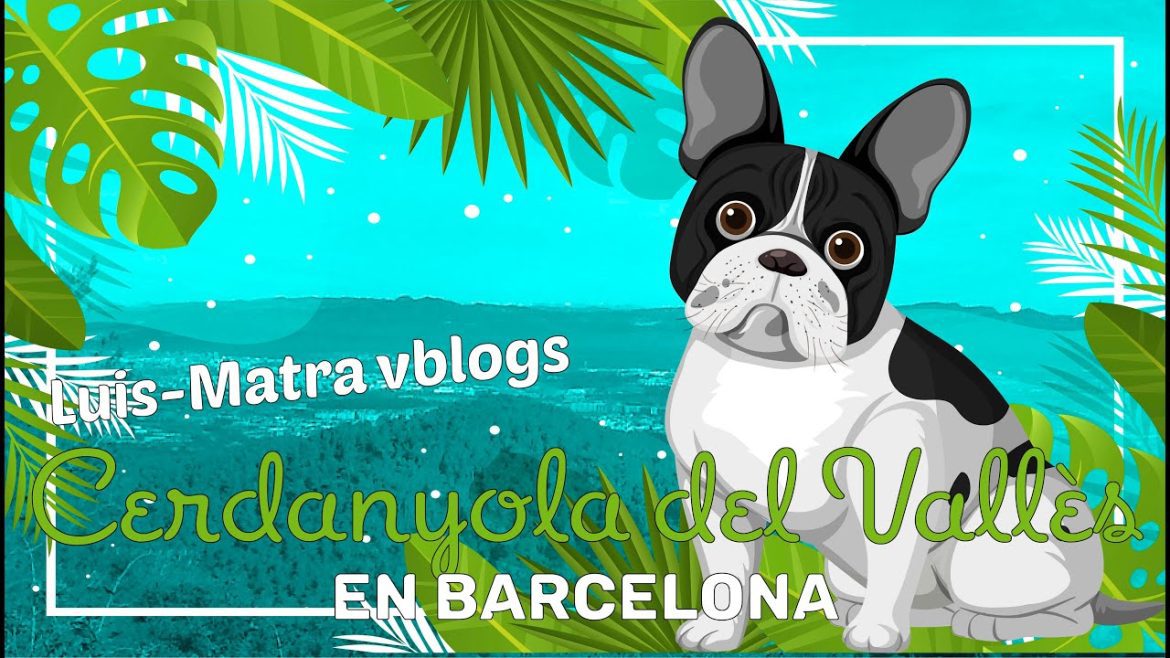 Descubre los encantos de Cerdanyola del Vallès: Guía de viaje para disfrutar al máximo