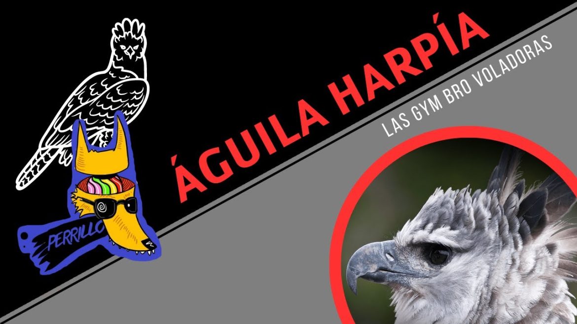 Cutura-en-Aguilas | CTB News