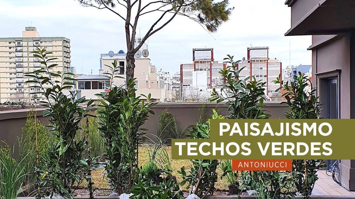 Arte-y-Fotografia-de-Arquitectura-Sustentable-Creando-Espacios-Verdes | CTB News