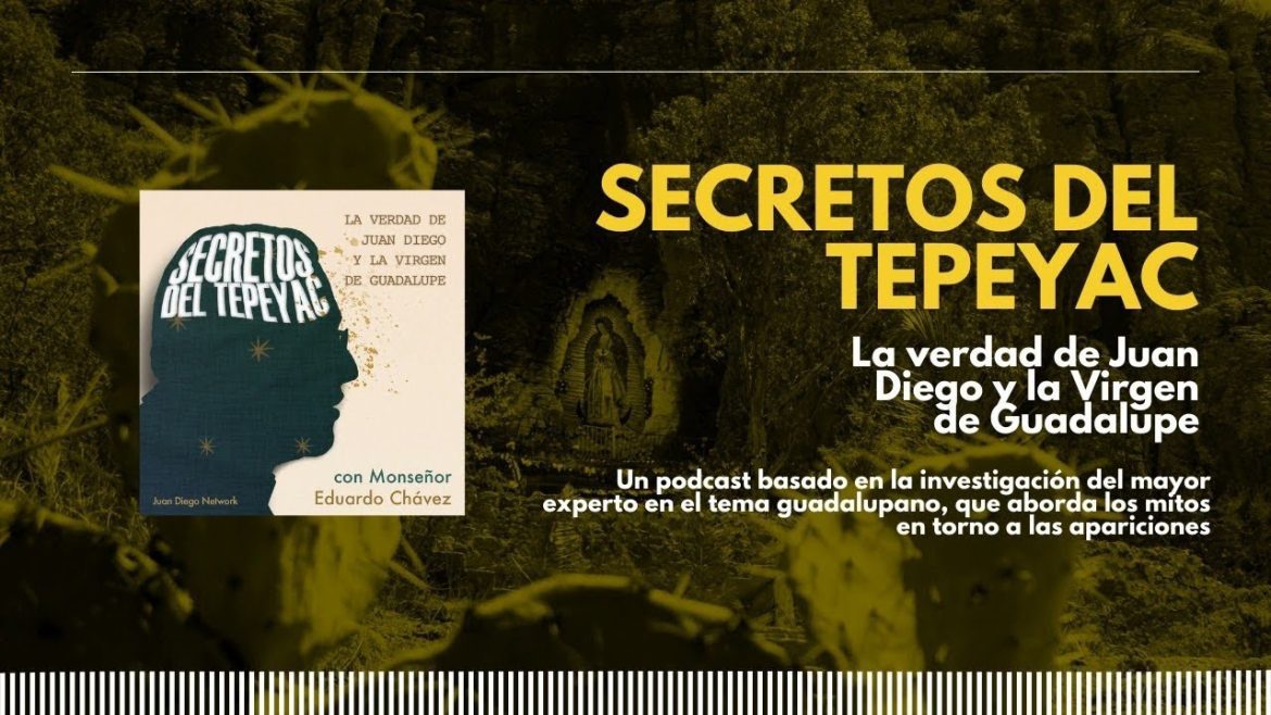 Documentos-guadalupanos-un-estudio-sobre-las-fuentes-de-informacion-tempranas-en-torno-a-las-mariofanias-en-el-Tepeyac | CTB News