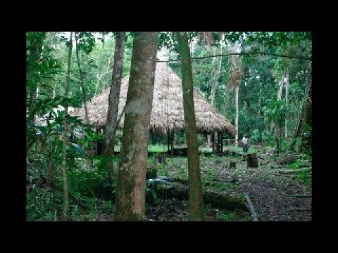 Oro verde la conquista de la selva lacandona por los madereros tabasqueños 1822-1949