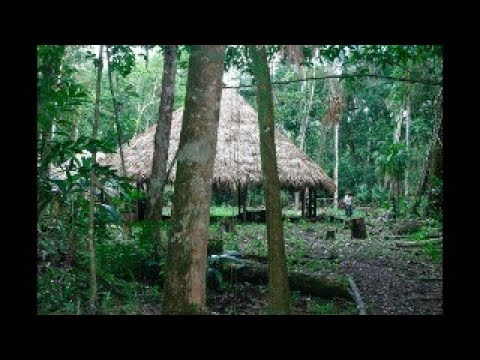 Oro-verde-la-conquista-de-la-selva-lacandona-por-los-madereros-tabasquenos-1822-1949 | CTB News