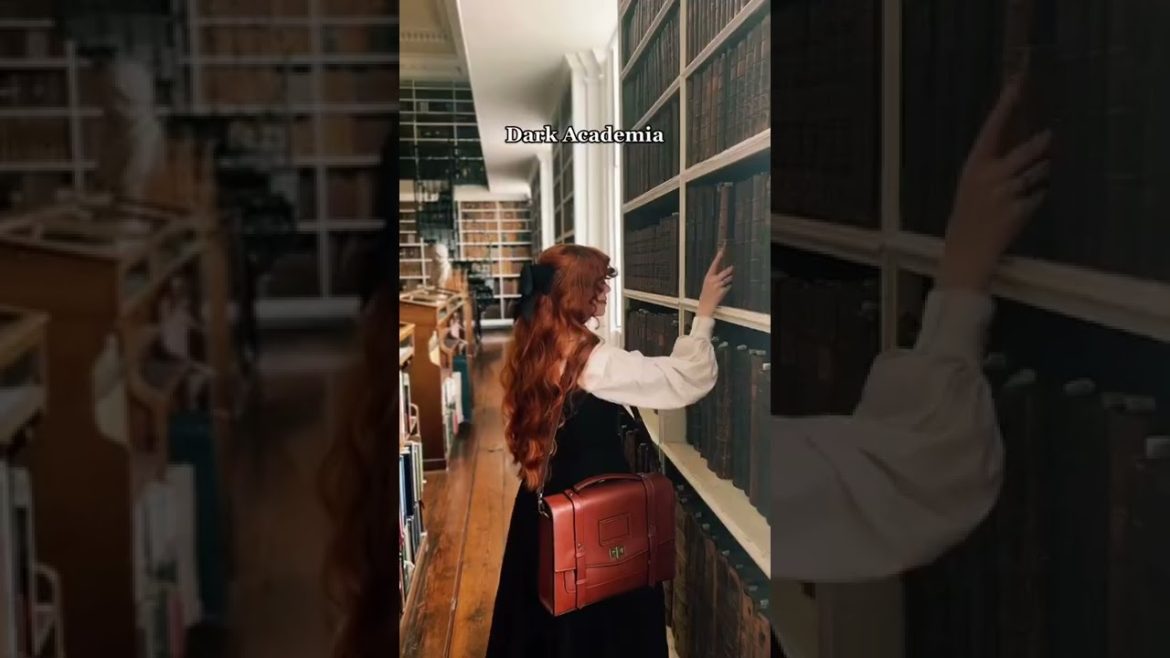 La-influencia-de-El-libro-de-la-moda-vintage-en-el-estilo-contemporaneo | CTB News La influencia de "El libro de la moda vintage" en el estilo contemporáneo