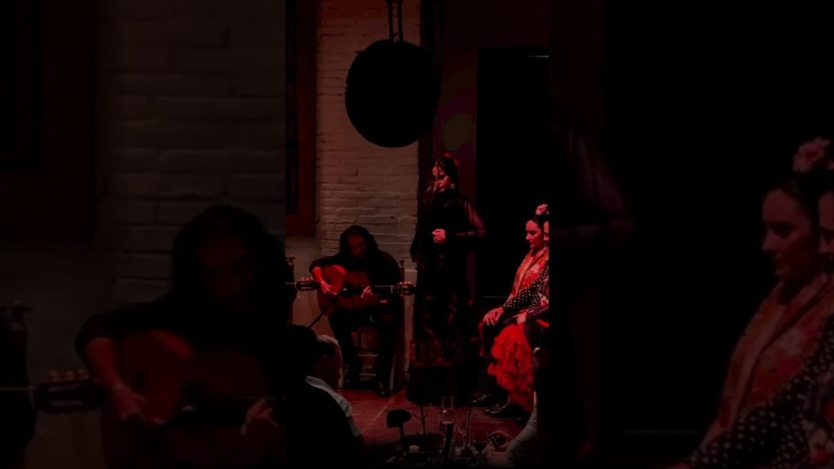 Conciertos-de-flamenco-en-Barcelona-una-guia-completa | CTB News Conciertos de flamenco en Barcelona: una guía completa